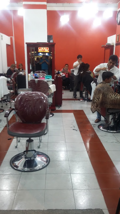 Estilistas Profesionales San Cosme, Ciudad de México