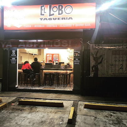 El Lobo Taquería Insurgentes San Angel