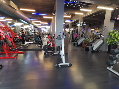 Go Fitness