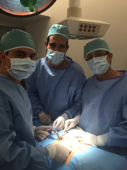 Surgical Tourism Team