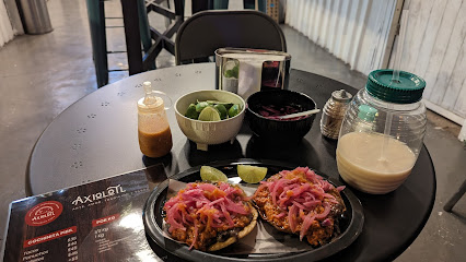 Cochinita Pibil "AXIOLOTL"