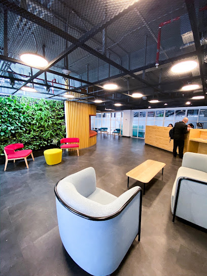 Mirum Agency México