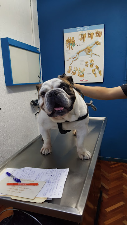 Hospital en Especialidades Veterinarias y Otología Veterinaria, Ciudad de México