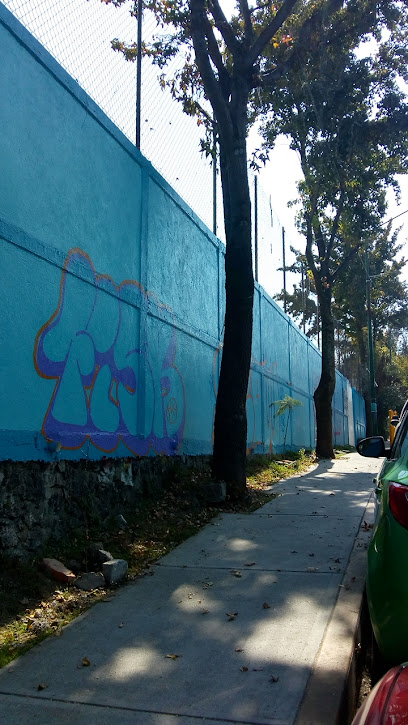 Escuela primaria Antonio Sanchez Molina, Ciudad de México