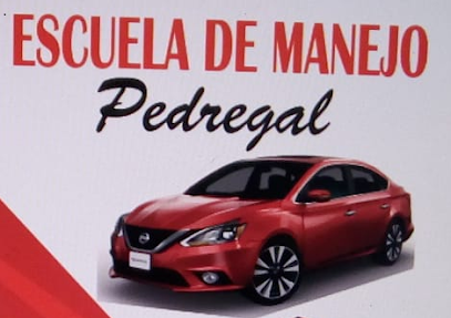 Escuela De Manejo Pedregal