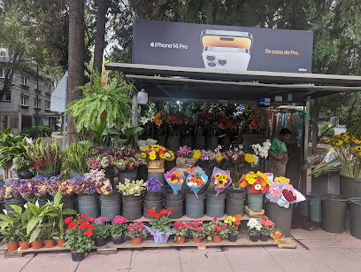 Florería y arreglos Florales, Ciudad de México