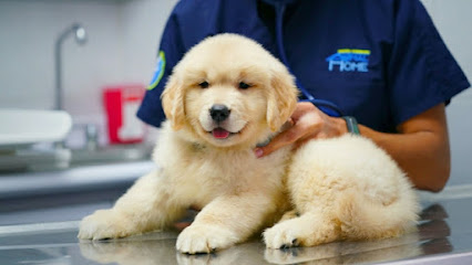 Hospital Veterinario Animal Home Coapa 24 horas