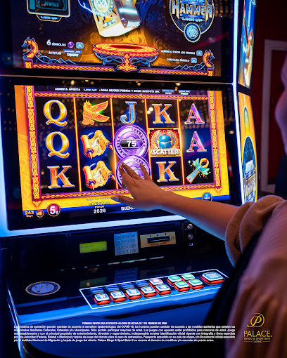 Palace Bingo & Sport Bets Casino Insurgentes
