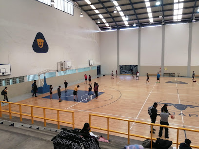 Escuela Nacional Preparatoria N° 5 "José Vasconcelos" UNAM