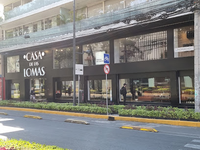 CASA DE LAS LOMAS POLANCO, Ciudad de México