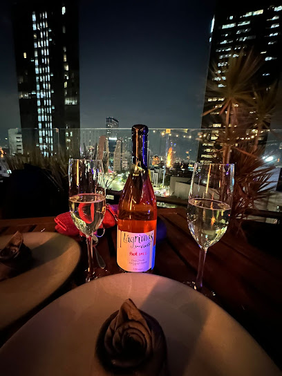 xkina ROOFTOP terraza