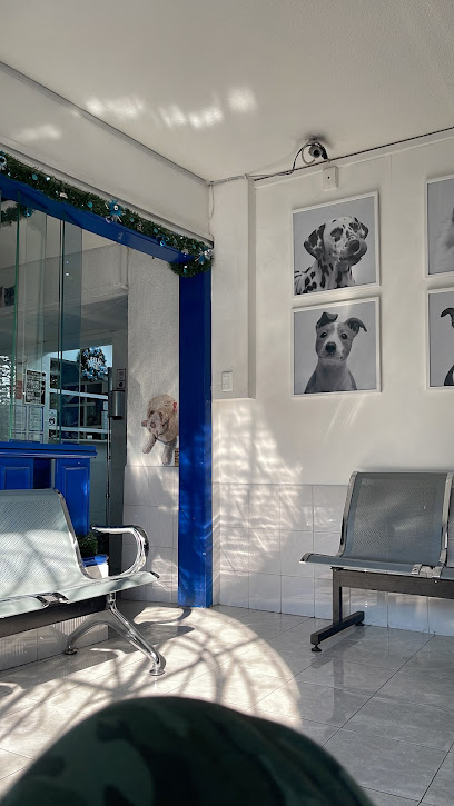 Centro Veterinario Parque San Andrés