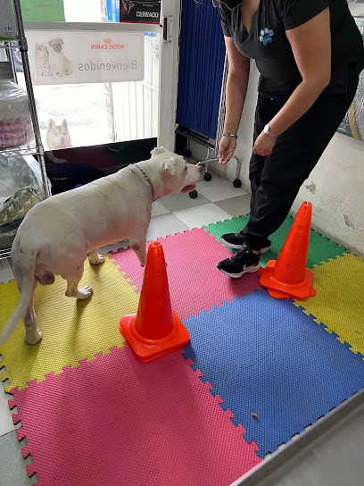 KARUBA Servicios Médicos Veterinarios