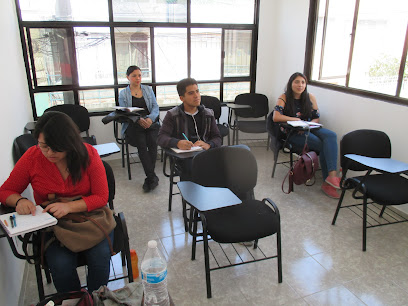 LANGUAGE PROFICIENCY: Clases de inglés y otros servicios lingüísticos especializados