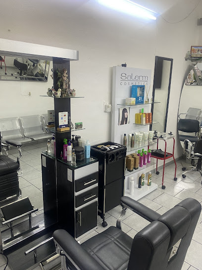 SALON DE BELLEZA CA