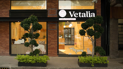 Vetalia Condesa - Hospital Veterinario 24 horas
