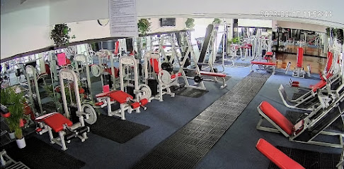 GYM 13