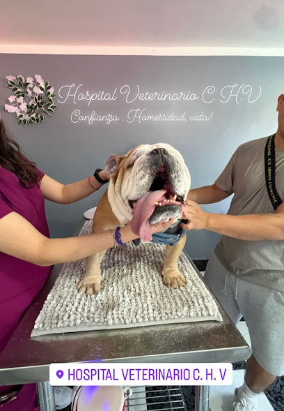 Hospital Veterinario "C.H.V", Ciudad de México