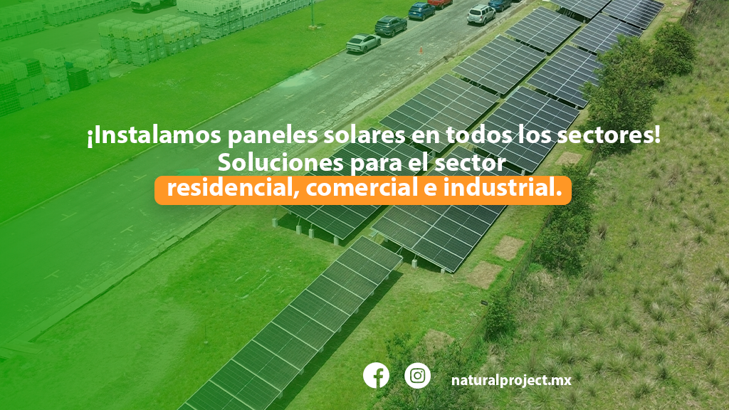 Natural Project, Ciudad de México
