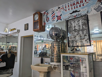 PELUQUERIA COPILCO